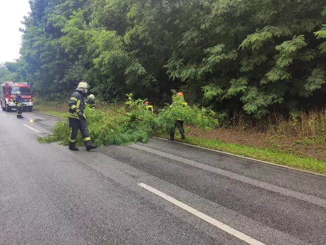 Tiefhängender Baum auf Straße