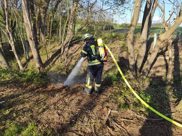 Brennender Aschehaufen an Waldrand