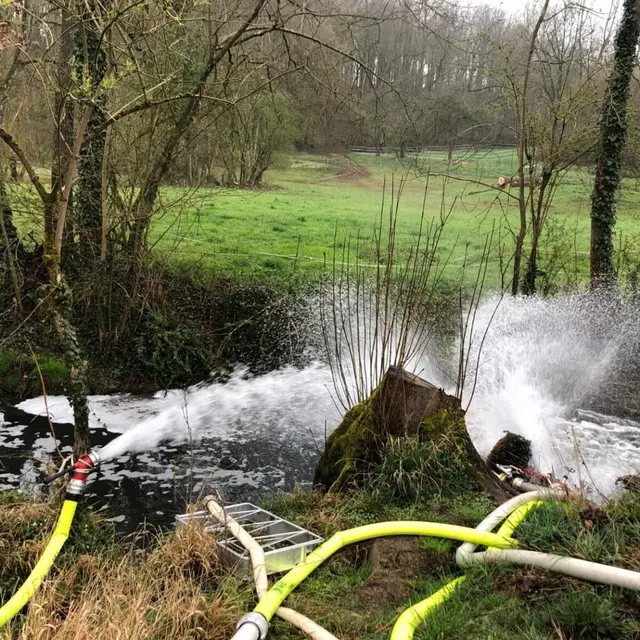 Massives Fischsterben in der Schozach